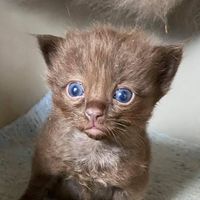 122982999 10157452057956606 3518084885821089142 o 1.jpg nc cat100ccb3 nc siddbb9e7 nc ohclOkWHFiOKKEAX8cefL5 nc htscontent dfw5 2 1