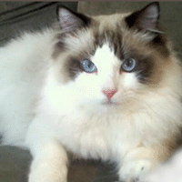 12358 639288712795054 591766544 n 1.png nc cat103ccb3 nc siddbb9e7 nc ohcQzjD78LGBj0AX9R36Q  nc htscontent dfw5 1 1