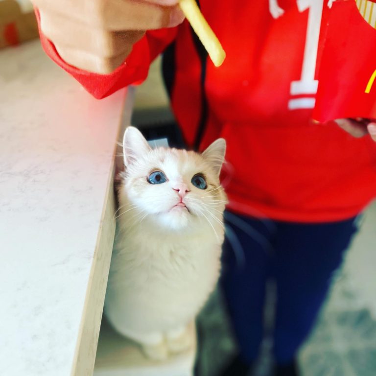 131669008 216017873455109 5741947710453343995 o 1 768x768