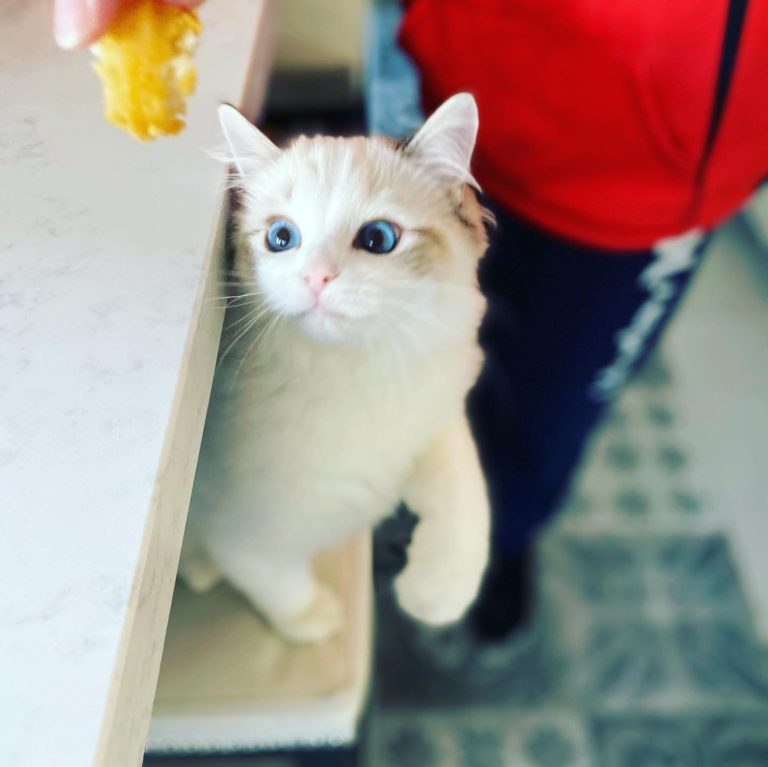 131888974 216017870121776 5066737485479016989 o 1 768x767