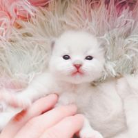 132428238 2883319321939412 5542110447695170589 n 1.jpg nc cat110ccb3 nc siddbb9e7 nc ohcv6yZ Mt0P oAX9mONFh nc ocAQnnETbMu017wnVqSL33lZtLcb sG Rv9ZXEQZ3aHyP8zrGlVWujO6YM4zAFu7gfNnU nc htscontent dfw5 1 1
