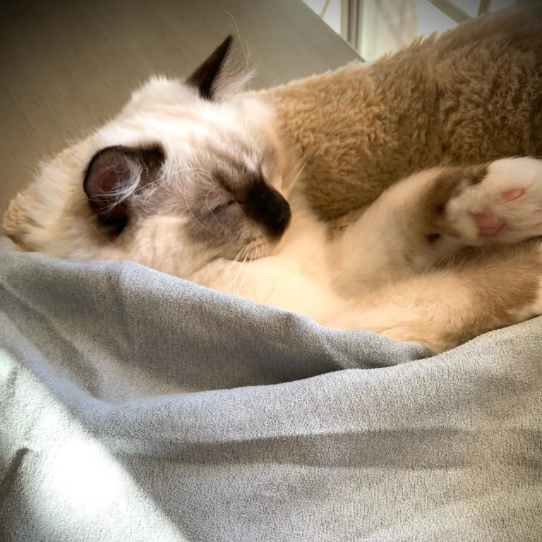 135584974 217065340052964 1284016144842985917 o 1 768x768