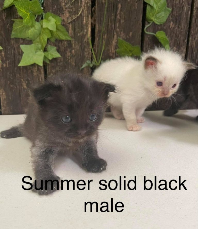 140298186 10157633834456606 8327322448528128821 o 1 768x888