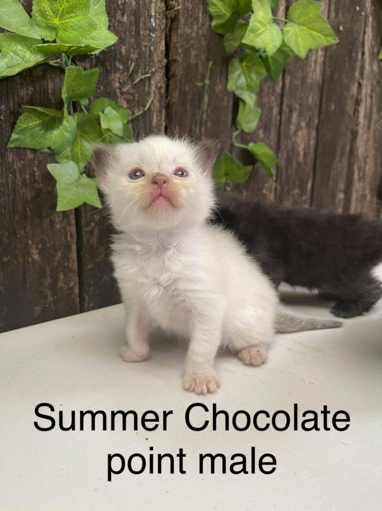 140558220 10157633834446606 5568532808651465886 o 1 768x1026