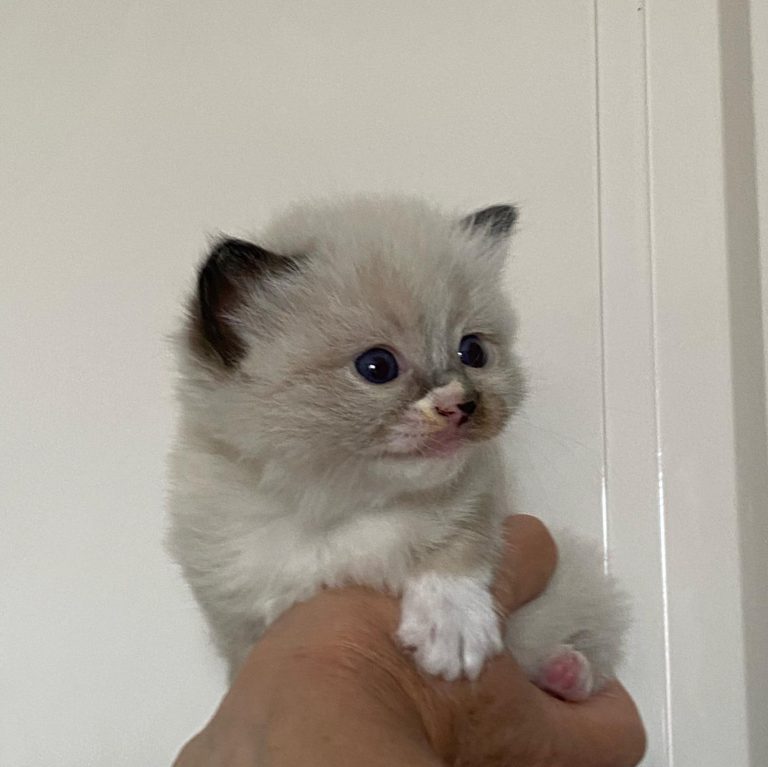 146173156 1681542878723733 663896149777389397 o 1 768x767