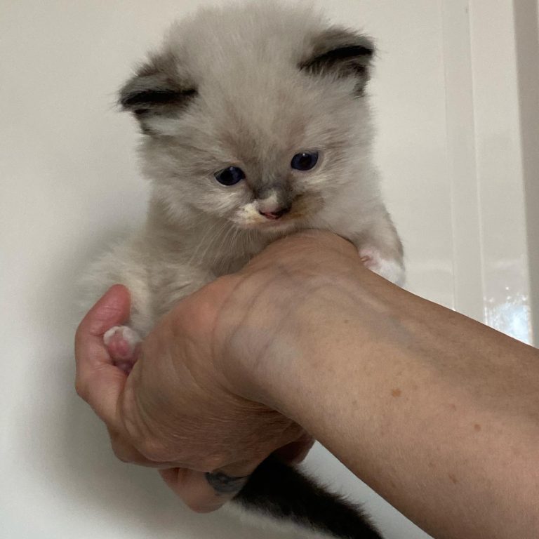 147673562 1681542882057066 1601243706880696669 o 1 768x768