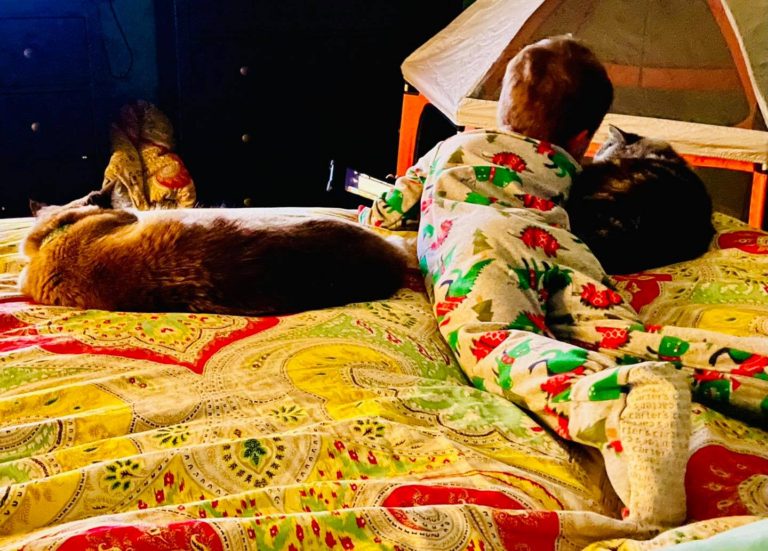 151310940 796047271083452 2225974946950663297 o 1 768x551