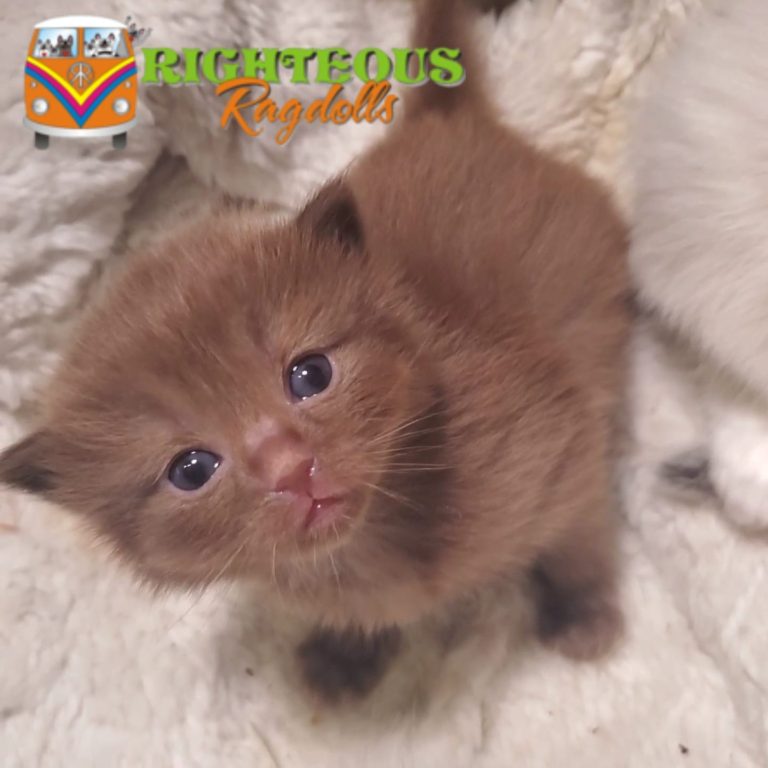 152375054 4017738734914806 2026279960964011305 o 1 768x768