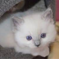 20257971 153618818528772 6148737830747422985 n 2.jpg nc cat108ccb2 nc siddbb9e7 nc ohc36ebAXbN4lkAX 0vxRu nc htscontent dfw5 2 2