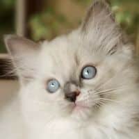 35142974 2123060924603512 3860217074072682496 o 1.jpg nc cat111ccb3 nc siddbb9e7 nc ohcJw4TU14WvSgAX8QQ0tW nc htscontent dfw5 1 1