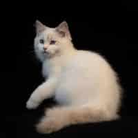 43397996 1751693244960091 616582129169465344 o 1.jpg nc cat107ccb3 nc siddbb9e7 nc ohcHRIifoZTRCcAX bFajP nc htscontent dfw5 2 1