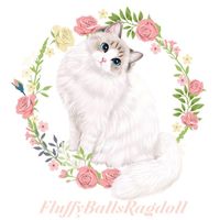 45887191 2147307612200369 1329716235549540352 n 1.jpg nc cat106ccb3 nc siddbb9e7 nc ohcAGYBAJ8vpmAAX aFdhI nc htscontent dfw5 2 1