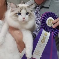 50288966 372767383506353 2324742231115694080 o 1.jpg nc cat102ccb3 nc siddbb9e7 nc ohcsNz jUZhaKAAX8PvxH1 nc htscontent dfw5 2 1
