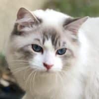 58656815 2200042573367514 8249574771847593984 n 1.jpg nc cat105ccb3 nc siddbb9e7 nc ohcoVMPB6ntZ6kAX 16MXW nc htscontent dfw5 1 1