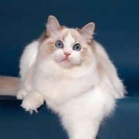 66172747 628015544375726 7857967285955198976 n 1.jpg nc cat105ccb3 nc siddbb9e7 nc ohc Xi87Z11FJwAX g1fkY nc htscontent dfw5 1 1