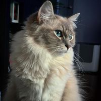 82173445 467604697256956 2709016047465267200 n 1.jpg nc cat102ccb3 nc siddbb9e7 nc ohcHTENx7XcaokAX9g5h33 nc htscontent dfw5 2 1