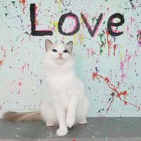 109062551 900830757059638 4701338398400955397 o 1.jpg nc cat109ccb3 nc siddbb9e7 nc ohcmrKCpl0DeDUAX TZw2j nc htscontent dfw5 2 1