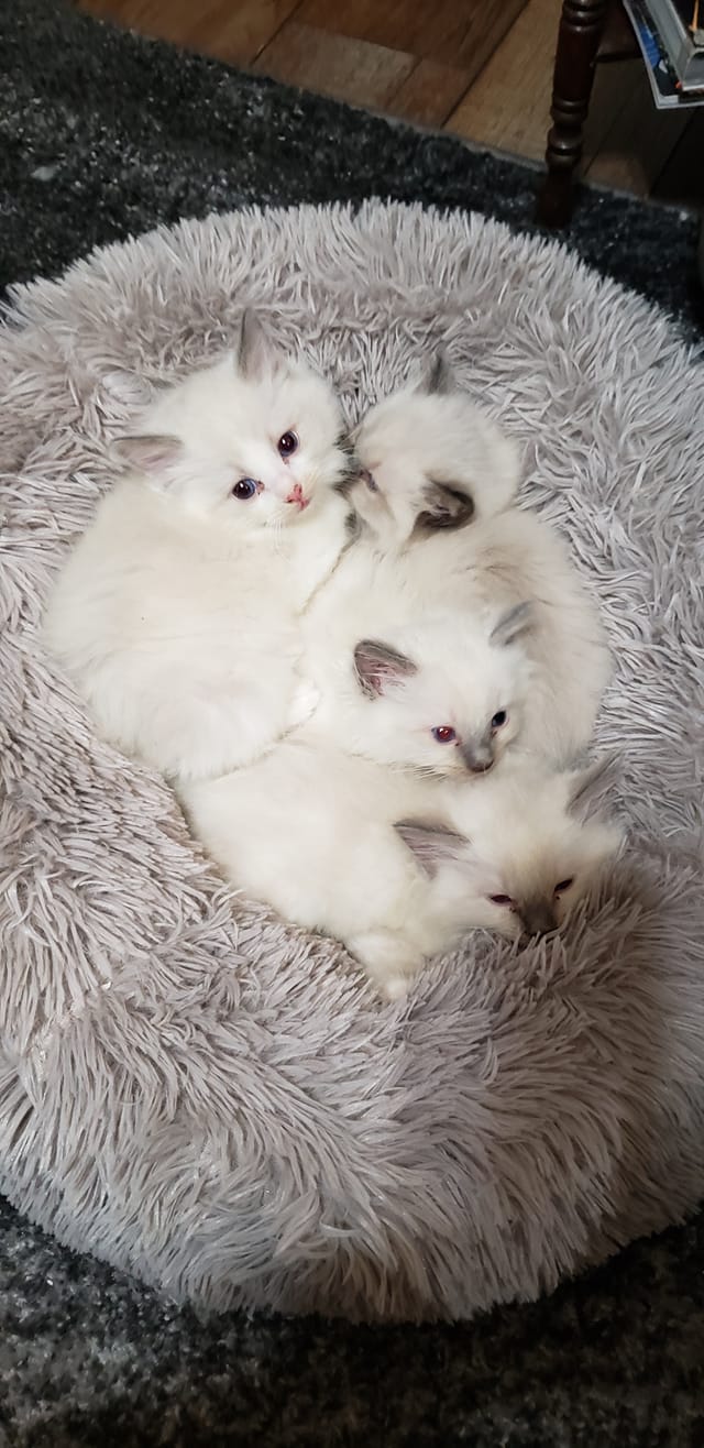 153772077 3781596448584127 8435013331791286740 o 1