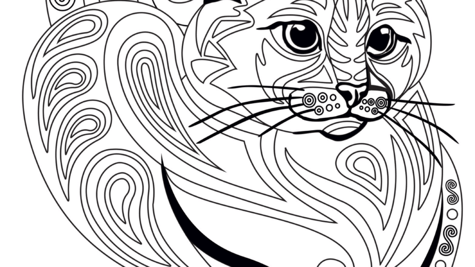 FREE printable Ragdoll Cat Coloring Pages