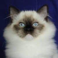 13418854 702841739858427 1355809441287524003 n 1.jpg nc cat107ccb1 3 nc siddbb9e7 nc ohcaZwBFbpiWksAX91fr5g nc htscontent dfw5 2 1