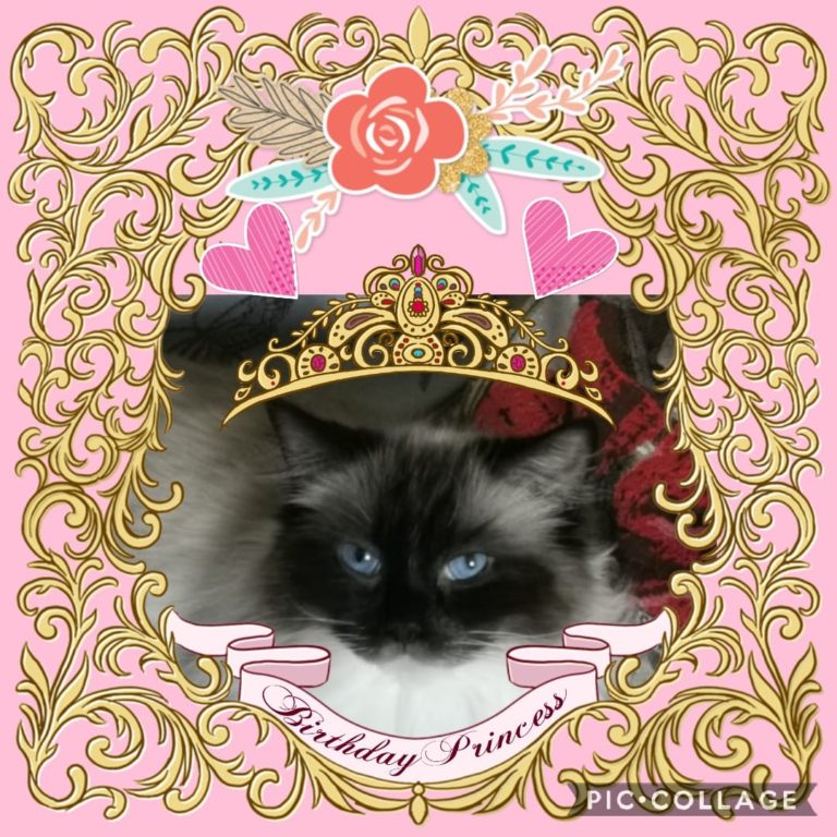 164315284 821158025140815 4963361947340235450 n 1 768x768