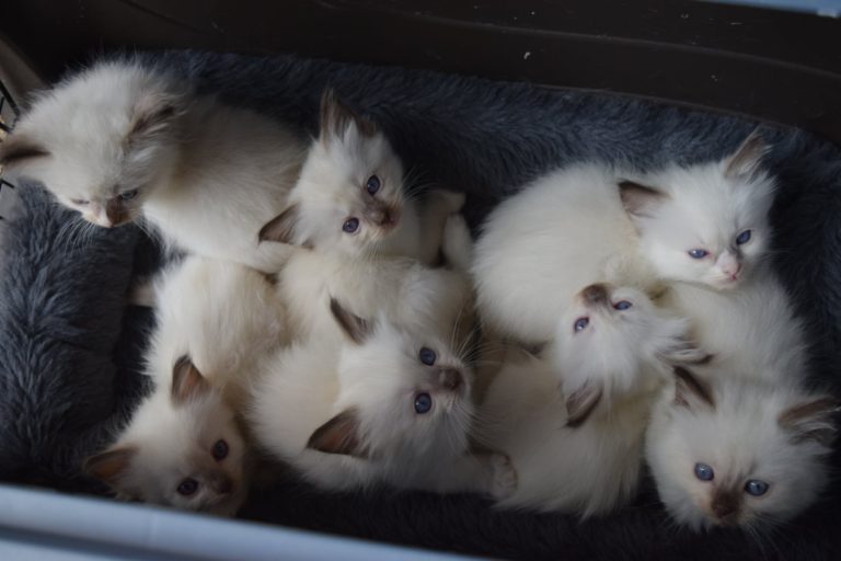 164967363 3930420000347719 5331531528789236130 n 1 768x512