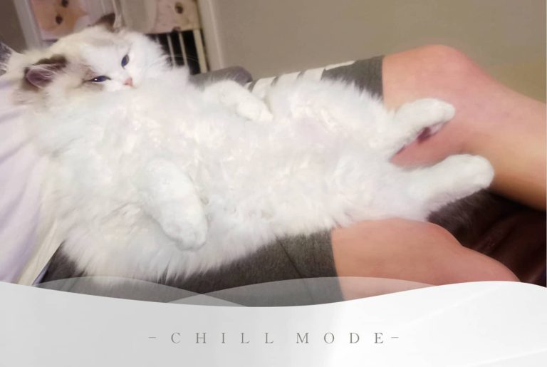 167117832 752010602171057 1217621258837080936 n 1 768x515