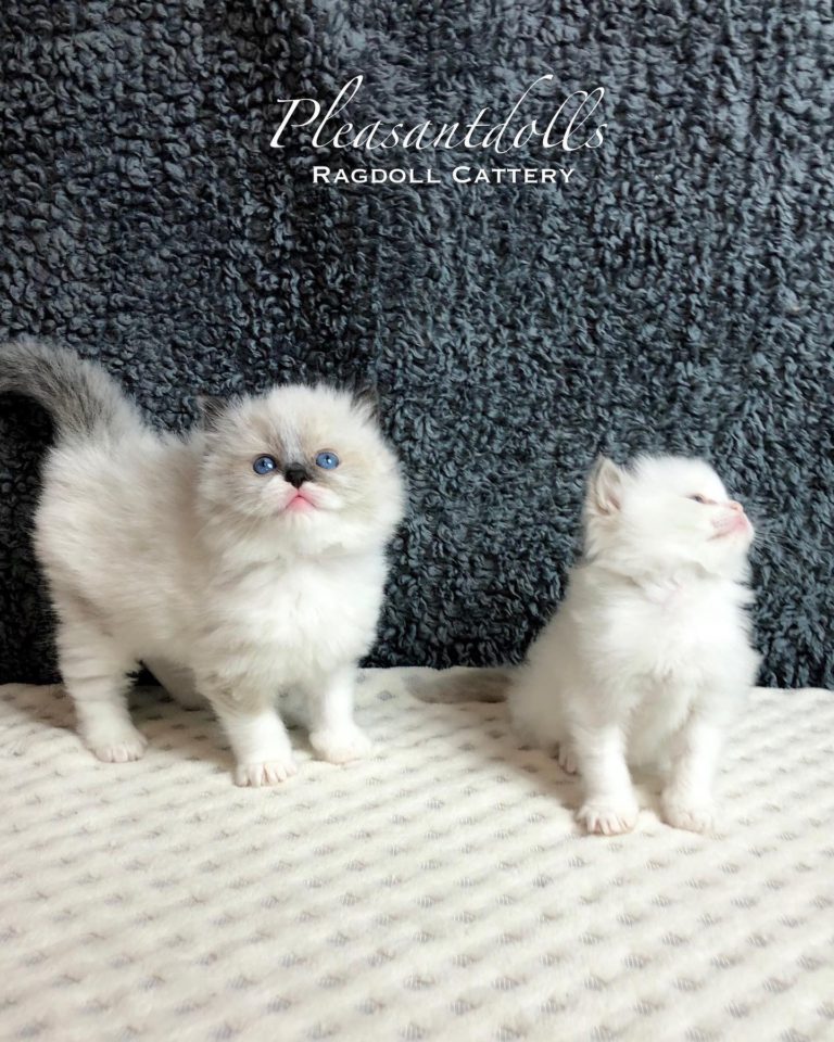 167878830 3614658391965653 4594771649312294121 n 1 768x960