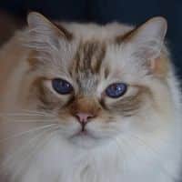 26951777 1666393140083761 9009624394506590135 o 1.jpg nc cat109ccb1 3 nc siddbb9e7 nc ohcRv2TKDMPgSgAX rmM T nc htscontent dfw5 2 1