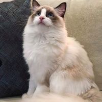 59880383 357750188191868 7303562161379344384 n 1.jpg nc cat105ccb1 3 nc siddbb9e7 nc ohcw0GknKE0mAkAX9EODcg nc htscontent dfw5 1 1