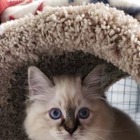 69477189 386660835243835 4797611798301769728 n 1.jpg nc cat109ccb1 3 nc siddbb9e7 nc ohc1FrR9SOQpb0AX8BQsdc nc htscontent dfw5 2 1