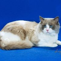 70615258 2407396902850618 4226611521389592576 n 1.jpg nc cat102ccb1 3 nc siddbb9e7 nc ohcCousNojbn58AX F9DE  nc htscontent dfw5 2 1
