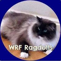 72625939 2956257591067754 4019339328852328448 n 1.jpg nc cat104ccb1 3 nc siddbb9e7 nc ohcAFsYmzbcFm4AX8qy6 n nc htscontent dfw5 2 1