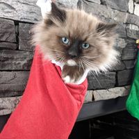 78193517 2863774037002031 6686520505068945408 n 1.jpg nc cat106ccb1 3 nc siddbb9e7 nc ohcSQEn2RNSl6MAX8WfZOX nc htscontent dfw5 2 1