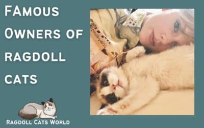 Celebrity Ragdoll Cat Owners