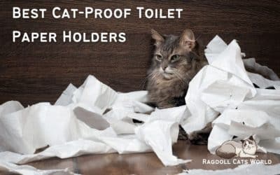 Find the Best Cat Proof Toilet Paper Holder