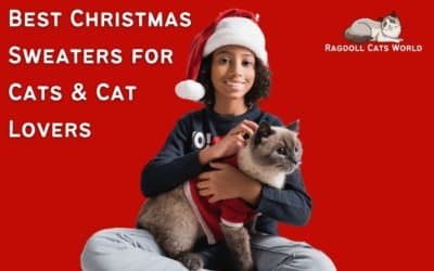 Best Cat Christmas Sweaters for Cats and Cat Lovers