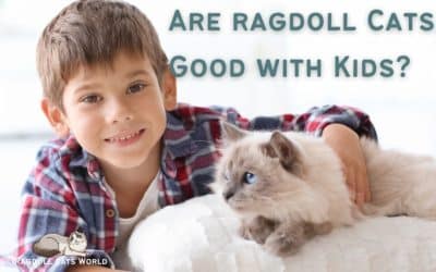 Are Ragdoll Cats Good with Kids?