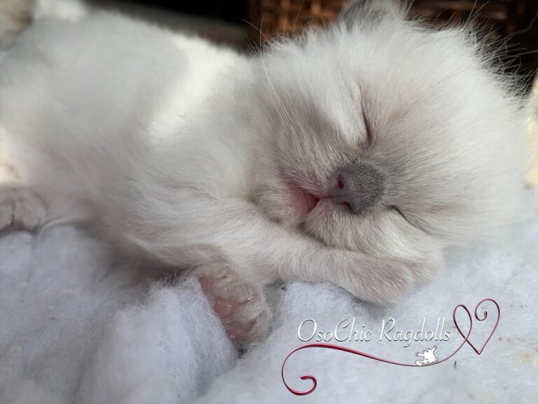 1404DC74 B23E 47B2 BFE7 0B6FD68C732A 768x576