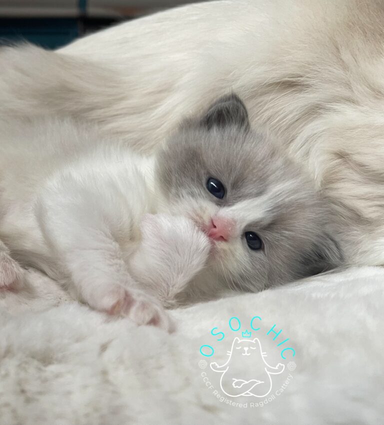 23D38E5E 0875 4B0E 9768 72D0220DF1DE 768x850