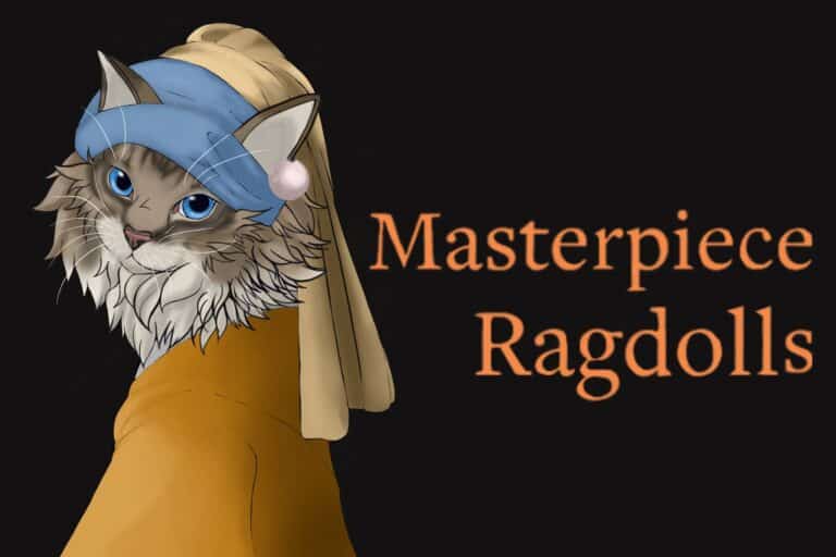 181879428 105695745017795 6100209457300955950 n 768x512