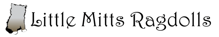 LittleMittsLogo sidetext smalllogo 768x132