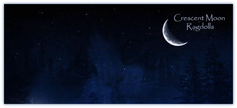 crescent moon trees colordodge logo 265c8e 7 768x351
