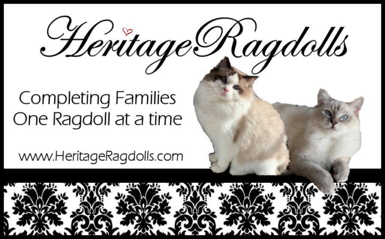 heritagebanner 768x477