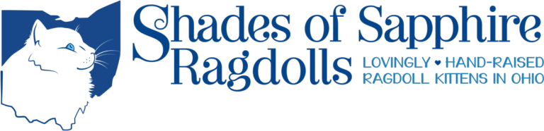 logo 1 1 768x186