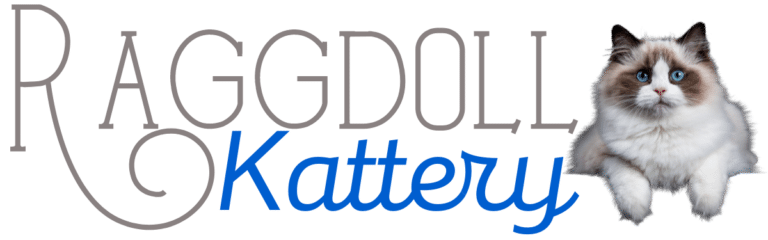 raggdoll orig 768x240