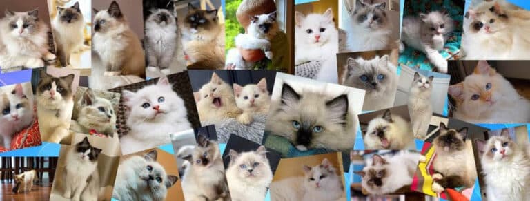 thumbnail img 2507 768x292