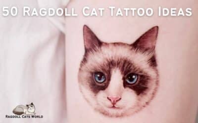 50 Ragdoll Tattoo Designs