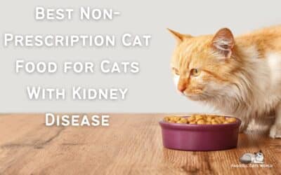 Best Non-Prescription Food for Cats with Kidney Disease